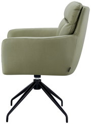 Seitenansicht eines grünen Armlehnstuhls mit schwarzem Metallgestell.