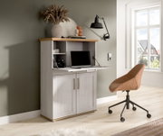 Sekretär-Schrank in hellgrauer Holzoptik mit ausklappbarer Schreibtischplatte und offenen Fächern, im Wohnzimmer-Homeoffice eingerichtet; Ansicht leicht schräg von vorn links.