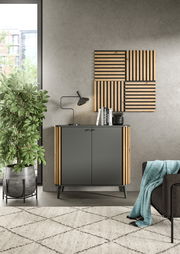 Akustikpaneel an der Wand in einem modernen Wohnzimmer, frontal betrachtet, mit einem Schrank und einer Pflanze daneben.