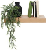 Wandboard aus Holz mit Dekoration, darunter eine schwarze Vase, grüne Pflanzen und Bücher, seitliche Perspektive