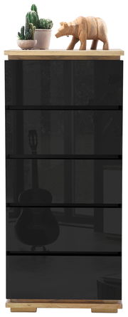 Hochkommode mit schwarzer Front, darauf stehen ein Holzfigur in Tierform und ein Topf mit Kakteen, Perspektive von vorne