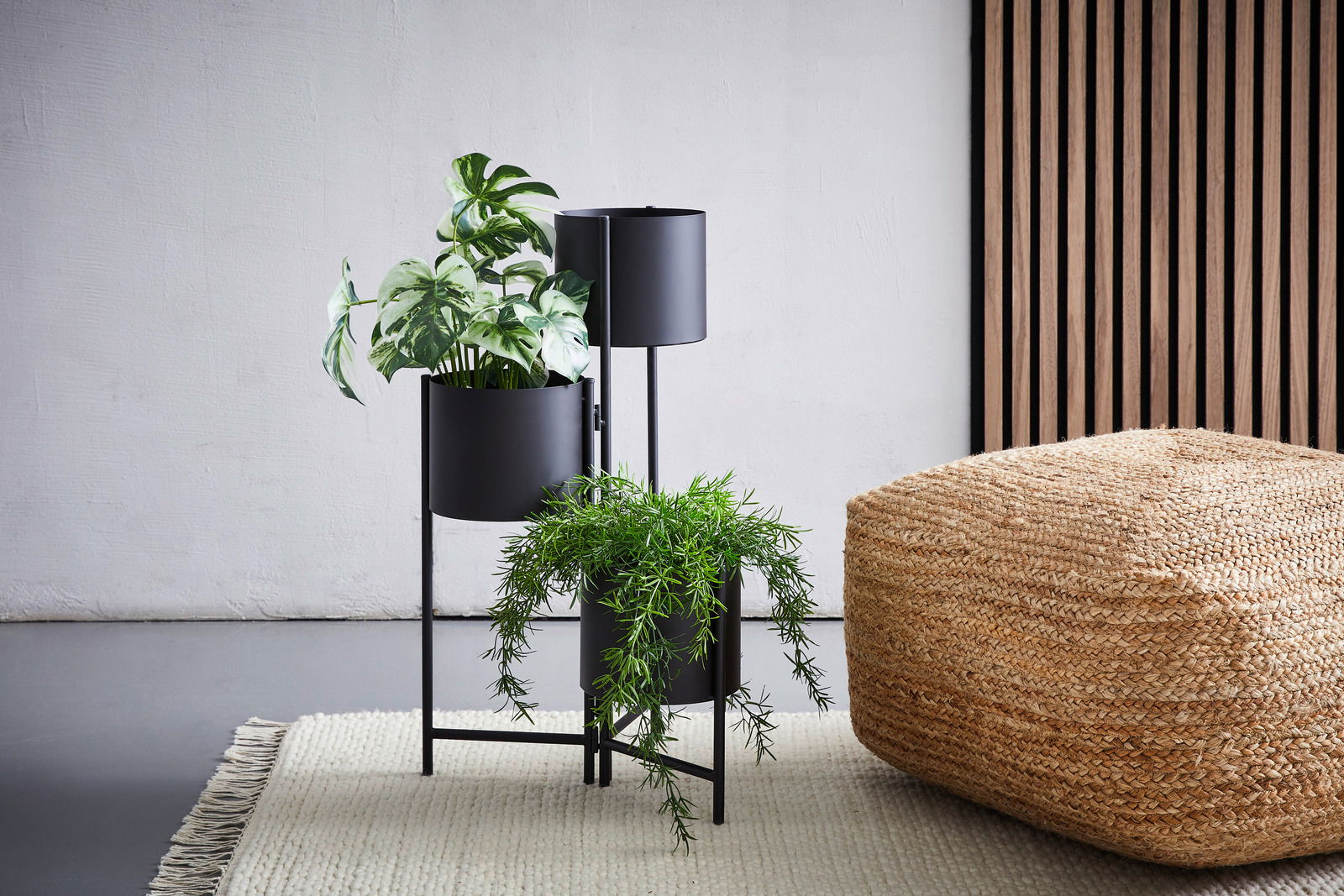Zwei schwarze Blumensäulen mit Pflanzen, fotografiert aus einer seitlichen Perspektive, neben einem geflochtenen Pouf auf einem Teppich.