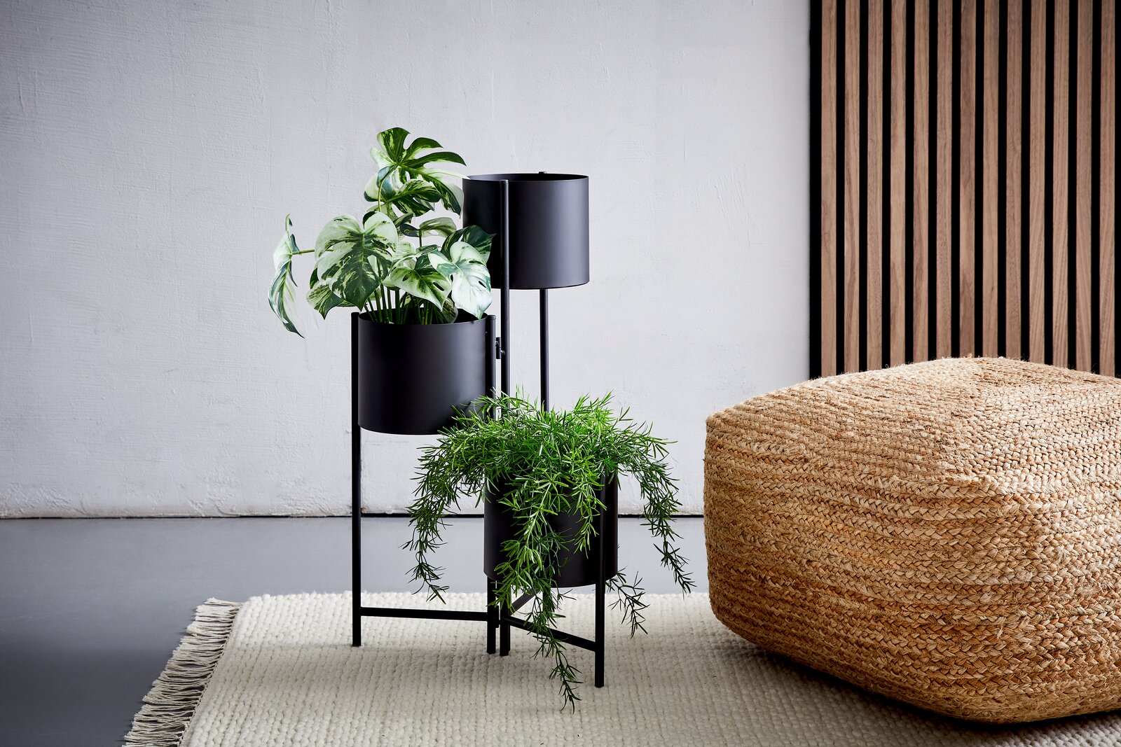Zwei schwarze Blumensäulen mit Pflanzen, fotografiert aus einer seitlichen Perspektive, neben einem geflochtenen Pouf auf einem Teppich.