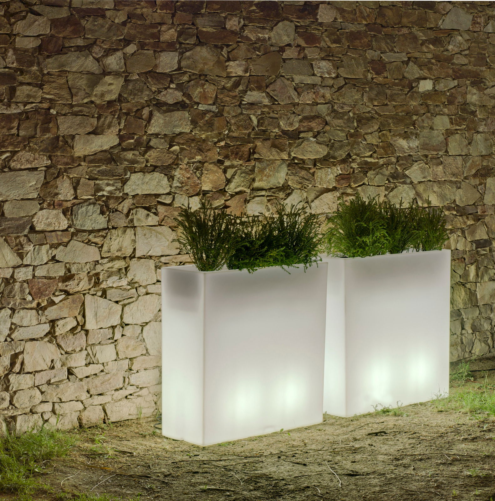 Zwei leuchtende, rechteckige Blumentöpfe Junco 80 vor einer Steinmauer, mit grünen Pflanzen gefüllt, in einer nächtlichen Gartenszene. Perspektive von vorne.