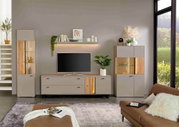 Moderne woonkamermeubels met vitrinekast, tv-lowboard en wandplank in een stijlvolle inrichting, vooraanzicht