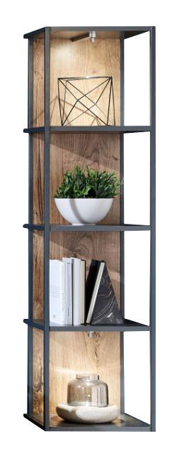 Hochformatiges Regal mit Metallrahmen und Holzböden, dekoriert mit Pflanzen, Büchern und Dekorationsgegenständen, seitliche Perspektive