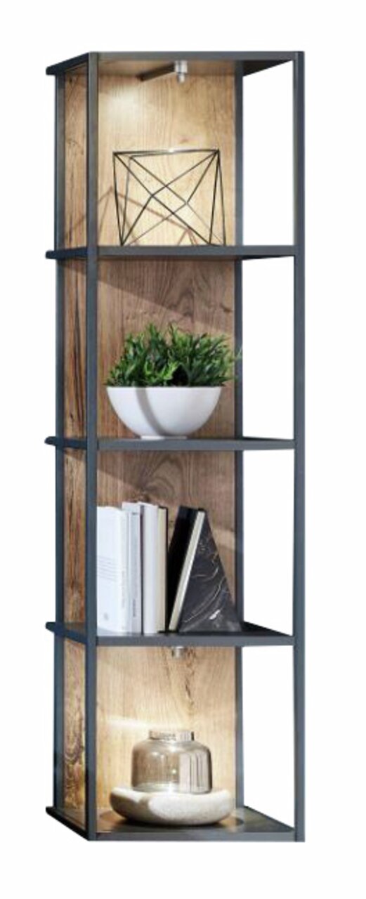 Hoogstaande kast met metalen frame en houten planken, versierd met planten, boeken en decoratieve voorwerpen, zijaanzicht