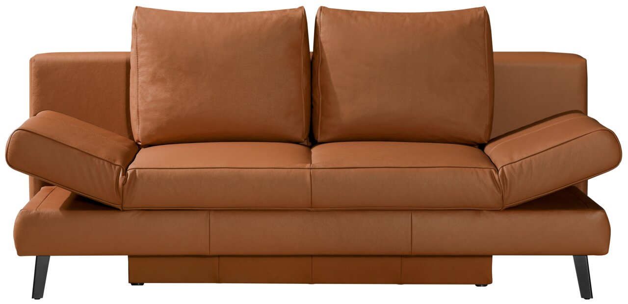 Braunes Querschläfer-Sofa aus Leder, Vorderansicht