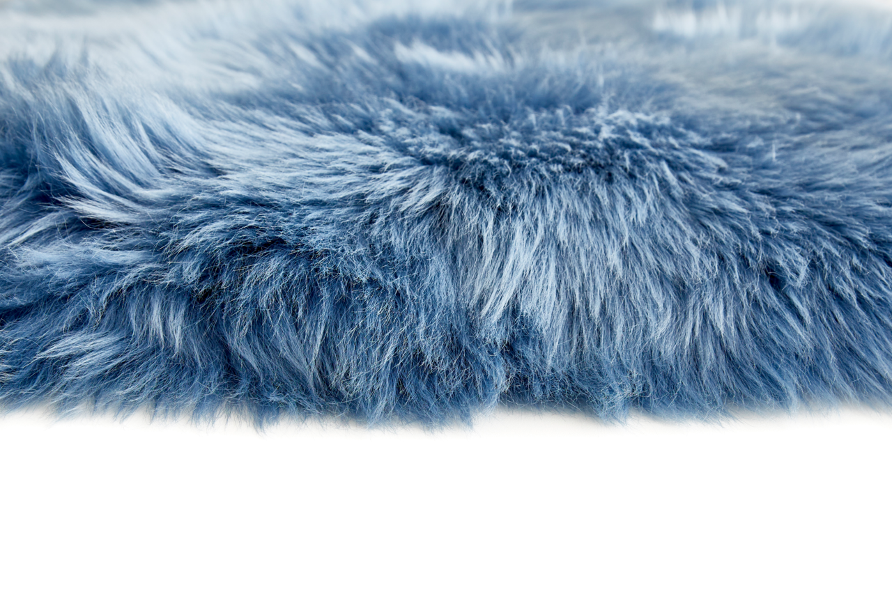 Nahaufnahme eines blauen Schaffells mit weicher, flauschiger Textur, seitliche Perspektive