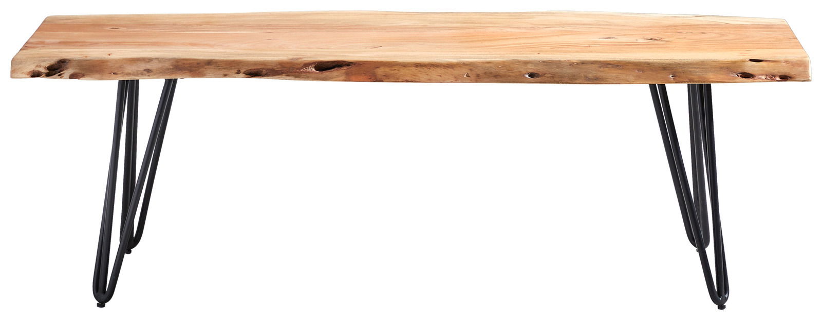 Holzbank mit natürlicher Baumkante und schwarzen Metallbeinen, Frontalansicht