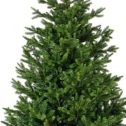 Detailansicht eines dicht benadelten, naturgetreu wirkenden grünen künstlichen Weihnachtsbaums aus frontaler Perspektive vor weißem Hintergrund