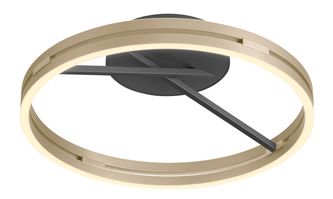 Moderne plafondlamp PURE Loop in zijaanzicht, met een cirkelvormig ontwerp en een elegante, tweekleurige uitstraling.