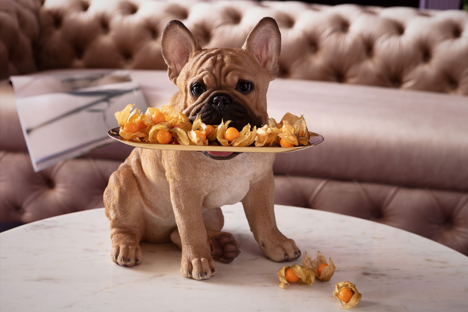 Karé Deko-Figur Butler Frenchy Deko-Figur eines sitzenden Bulldoggen-Butlers mit einem Tablett voller Physalis, frontal auf einem Marmortisch vor einem gepolsterten Sofa präsentiert.