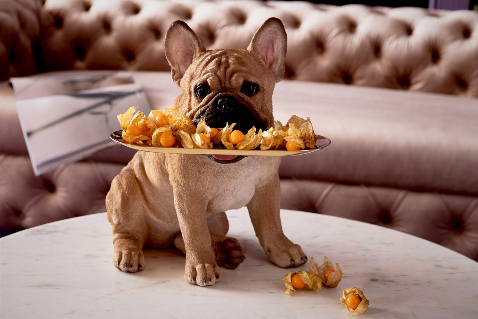 Deko-Figur eines sitzenden Bulldoggen-Butlers mit einem Tablett voller Physalis, frontal auf einem Marmortisch vor einem gepolsterten Sofa präsentiert.