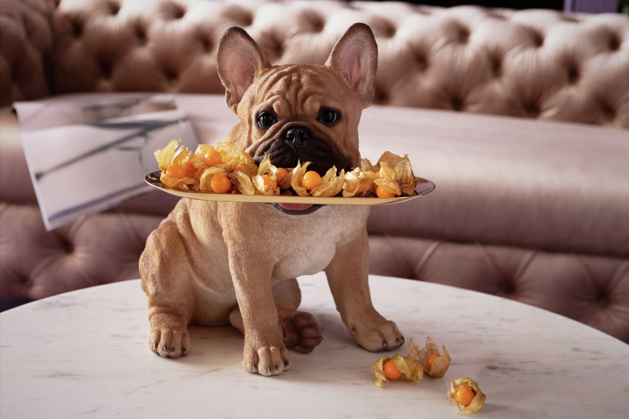 Deko-Figur eines sitzenden Bulldoggen-Butlers mit einem Tablett voller Physalis, frontal auf einem Marmortisch vor einem gepolsterten Sofa präsentiert.