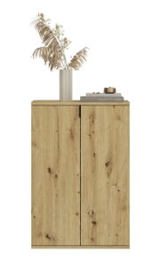 Frontale Ansicht eines Holzschranks mit zwei Türen, dekoriert mit einer Vase mit getrockneten Pflanzen und Büchern auf der Oberseite.