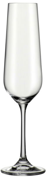 Eleganter Sektkelch 220 ml Lucca, frontal abgebildet