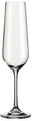 BOHEMIA Cristal Sektkelch LUCCA Eleganter Sektkelch 220 ml Lucca, frontal abgebildet