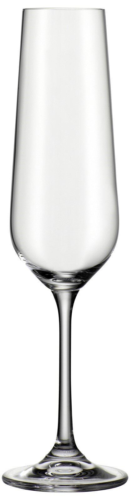 BOHEMIA Cristal Sektkelch LUCCA Eleganter Sektkelch 220 ml Lucca, frontal abgebildet