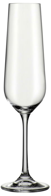 Eleganter Sektkelch 220 ml Lucca, frontal abgebildet