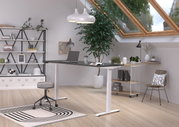 Modern, in hoogte verstelbaar elektrisch bureau in een stijlvolle, lichte ruimte met dakraam, planten en planken, gezien vanuit de zijkant.