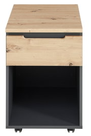 Vooraanzicht van een rolcontainer met houtlook en een lade, met daaronder een open vak.