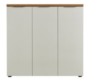 Frontansicht eines XL-Schuhschranks mit drei Türen und einer Holzoberfläche.