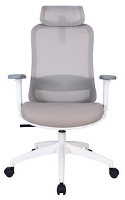 Moderner Drehstuhl mit Netzrückenlehne und Kopfstütze, Vorderansicht