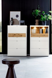 Zwei moderne Highboards in Weiß mit Holzelementen, dekoriert mit Pflanzen und Kunstobjekten, frontal betrachtet.