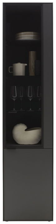 Moderne schwarze Vitrine mit Glastür, gefüllt mit Geschirr und Dekorationen, aus frontaler Perspektive.