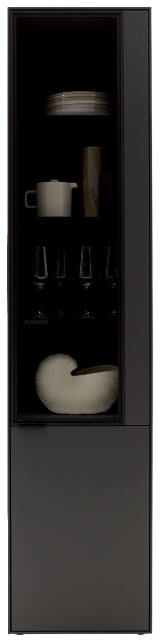 Moderne schwarze Vitrine mit Glastür, gefüllt mit Geschirr und Dekorationen, aus frontaler Perspektive.