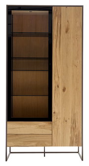 Frontale Ansicht einer modernen Vitrine mit Holz- und Glaselementen, links mit Glastür und rechts mit Holztür, auf Metallgestell.
