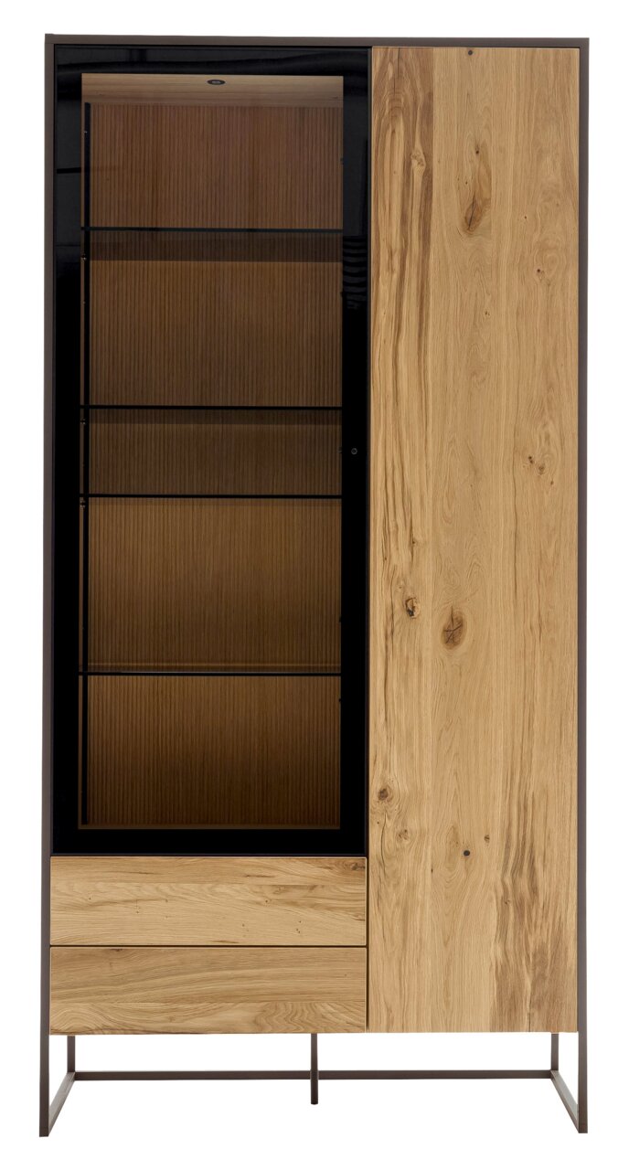 Frontale Ansicht einer modernen Vitrine mit Holz- und Glaselementen, links mit Glastür und rechts mit Holztür, auf Metallgestell.