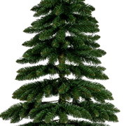 Künstlicher Tannenbaum aus der Perspektive von vorne, mit dichten, grünen Zweigen, Modell Tora Kiefer, Höhe 210 cm.