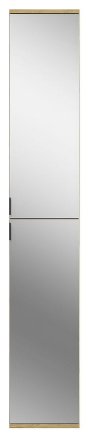 Spiegelschrank mit zwei Türen, Holzrahmen und schwarzem Griff, Frontalansicht