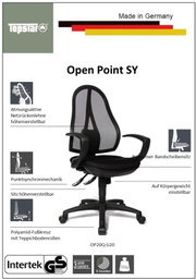 Bureaustoel met ademende rugleuning van gaas, in hoogte verstelbaar, punt-synchroonmechanisme, comfortabele zitting die de tussenwervelschijven ontlast, instelbaar op lichaamsgewicht, voetkruis van polyamide met tapijtwielen, zijaanzicht