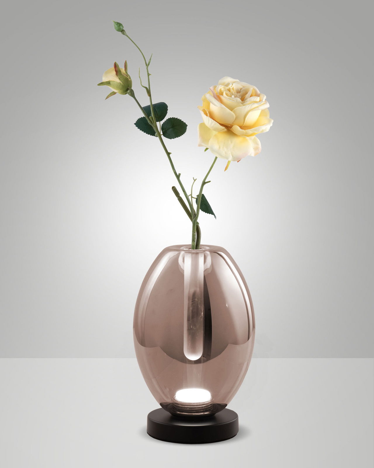 LED-Glasvasenleuchte TULLY von Fabas Luce mit gelber Rose, seitliche Perspektive