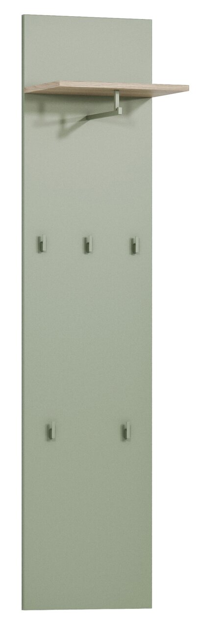Garderobenpaneel in Grün mit sechs Haken und einem oberen Regalbrett, Frontalansicht