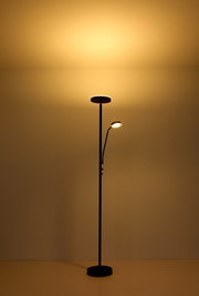 Moderne Stehleuchte mit zwei Lichtquellen, frontal abgebildet, die warmes Licht an die Decke und in den Raum strahlt.