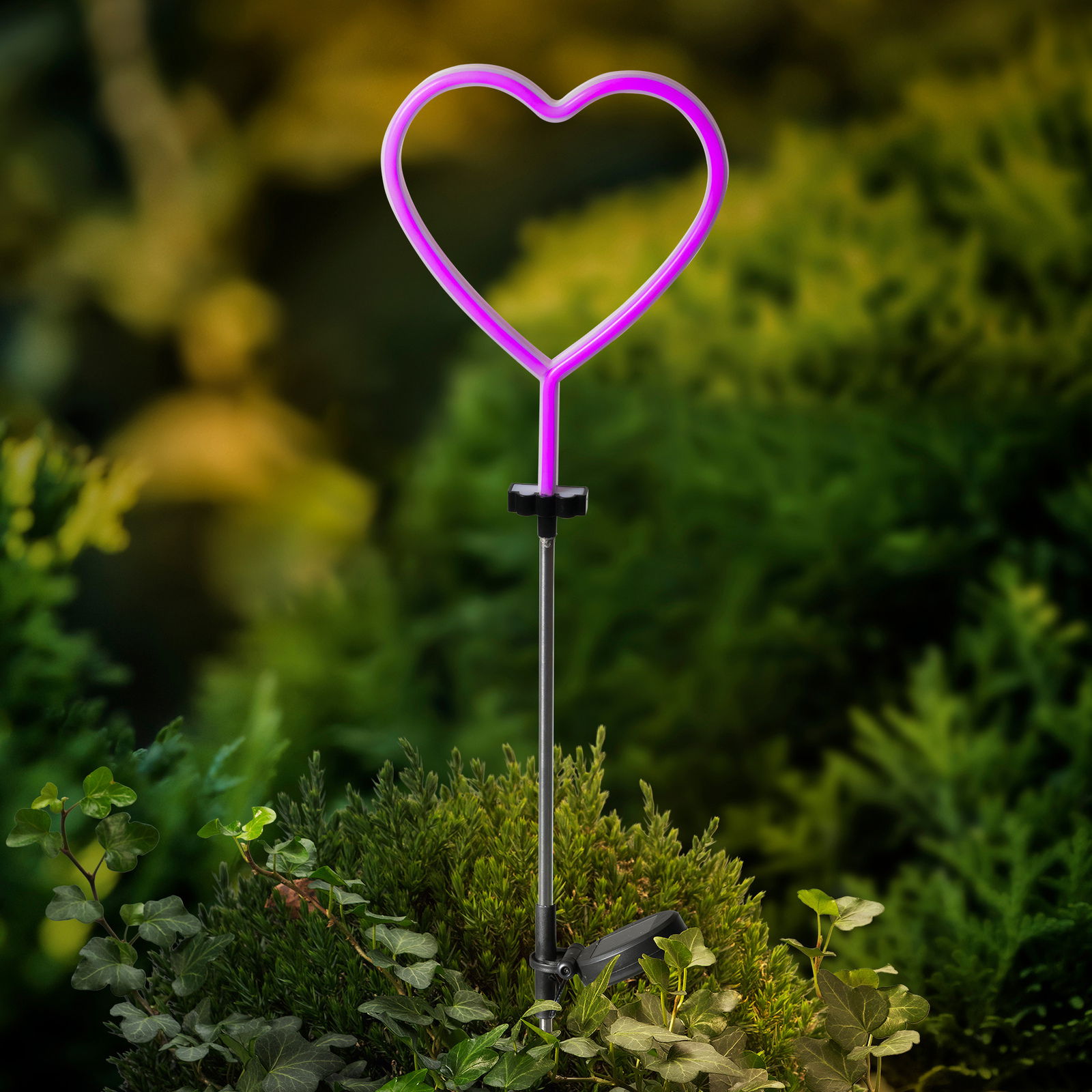 Lumineo Solar Stabbeleuchtung Herzförmige Solar Stabbeleuchtung in lila, aufrecht in einem Garten platziert, umgeben von grünen Pflanzen.