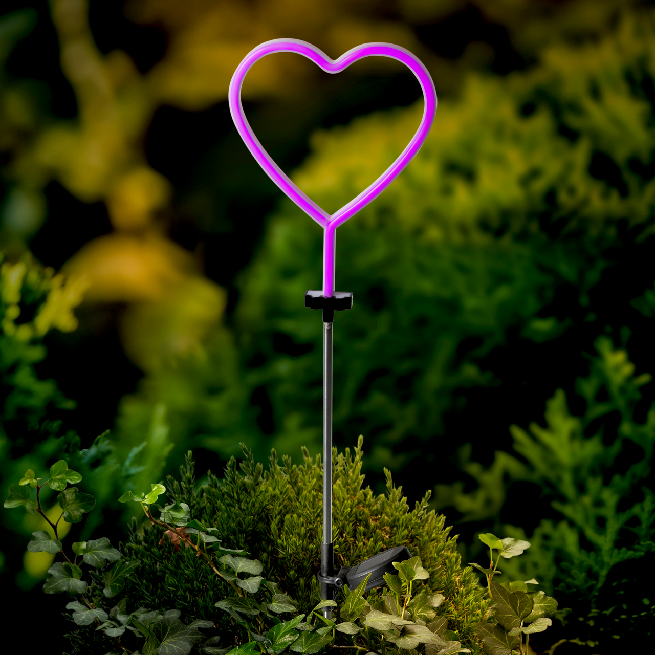 Herzförmige Solar Stabbeleuchtung in lila, aufrecht in einem Garten platziert, umgeben von grünen Pflanzen.
