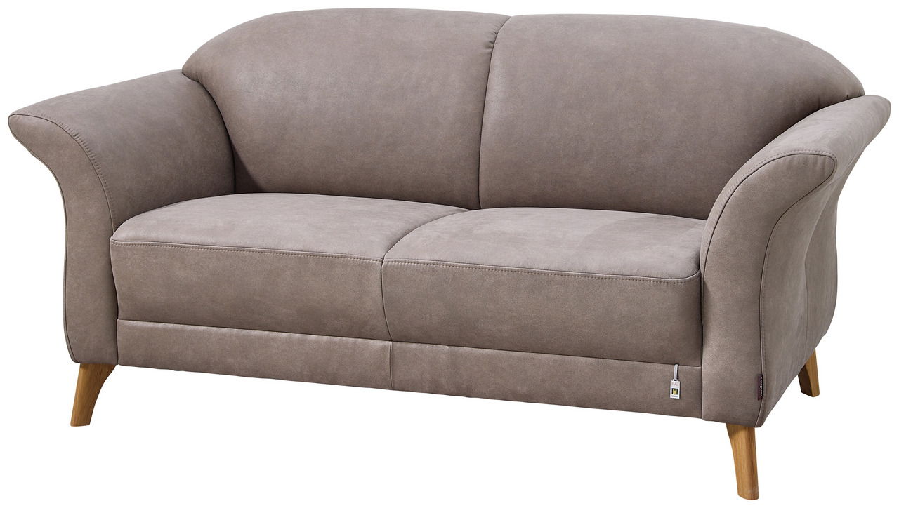 Graues 2,5-Sitzer Sofa mit geschwungenen Armlehnen und Holzfüßen, Vorderansicht