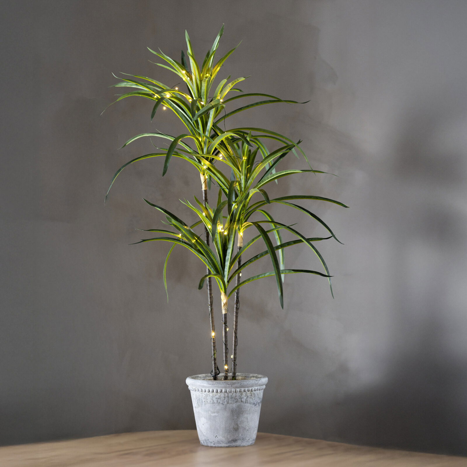 Hohe grüne Zimmerpflanze mit schmalen, langen Blättern und warmweißer Lichterkette in grauem Topf auf Holztisch vor grauer Wand, frontal aus leicht erhöhter Perspektive