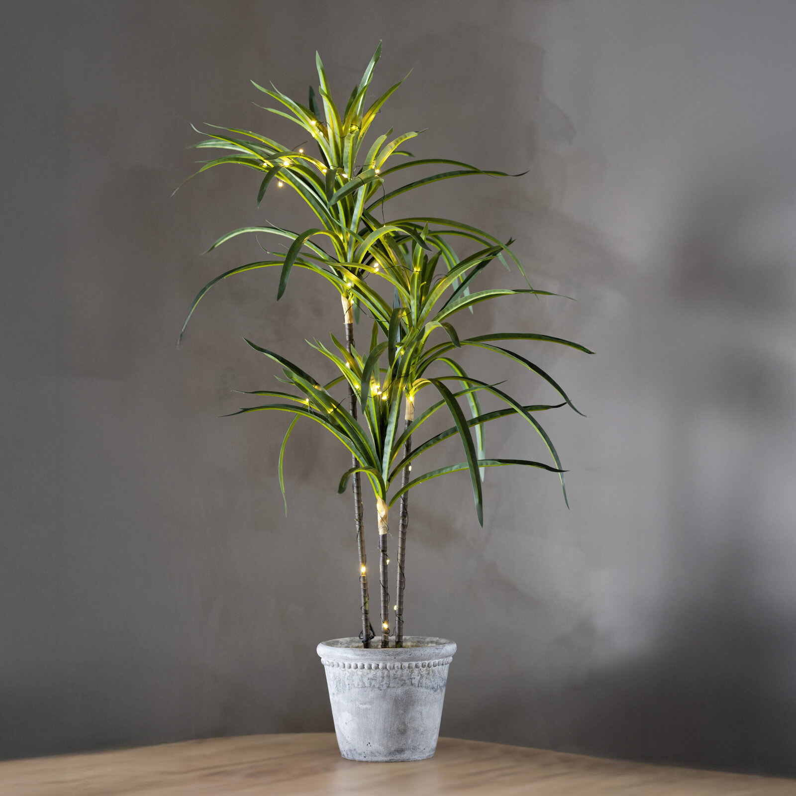 Hohe grüne Zimmerpflanze mit schmalen, langen Blättern und warmweißer Lichterkette in grauem Topf auf Holztisch vor grauer Wand, frontal aus leicht erhöhter Perspektive