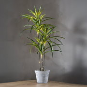 Hohe grüne Zimmerpflanze mit schmalen, langen Blättern und warmweißer Lichterkette in grauem Topf auf Holztisch vor grauer Wand, frontal aus leicht erhöhter Perspektive