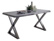 Moderner Esstisch mit X-förmigen Beinen aus Metall, dekoriert mit Pflanzen und Vasen, seitliche Perspektive