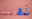Verschiedene Lunchboxen und Behälter in Rosa und Blau, frontal auf einem rosa Hintergrund präsentiert.