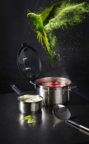 Topfset SILENCE PRO aus Edelstahl mit dampfendem Topf und fliegendem grünem Papagei, seitliche Perspektive