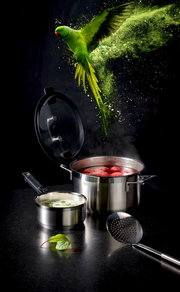 Topfset SILENCE PRO aus Edelstahl mit dampfendem Topf und fliegendem grünem Papagei, seitliche Perspektive