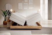 Modernes Boxspringbett mit verstellbaren Matratzen, frontal fotografiert in einem stilvoll eingerichteten Schlafzimmer mit Pflanzen und Wanddekorationen.